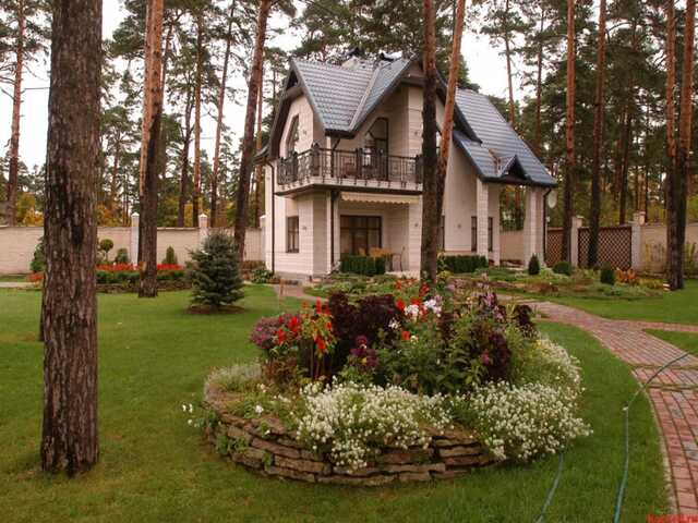 от муравьев